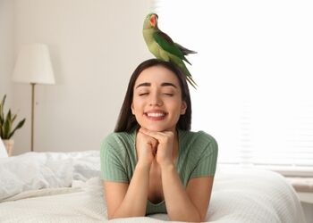 Devenir pet-sitter : entre service à la