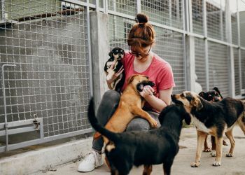 La Société Protectrice des Animaux (SPA)