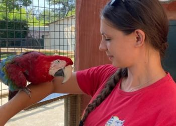 Professionnalisation : ils ont décroché