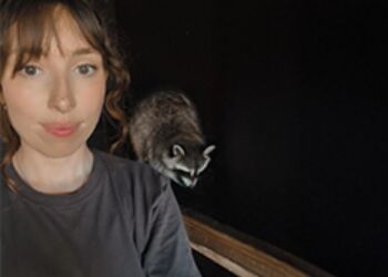 Soigneur animalier : le quotidien de