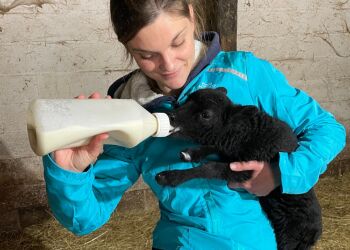 Retours de stage : soigneur animalier et