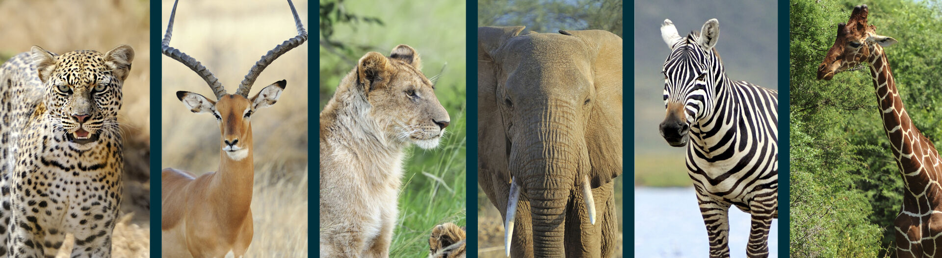 Phase 1 : Découvrir le métier