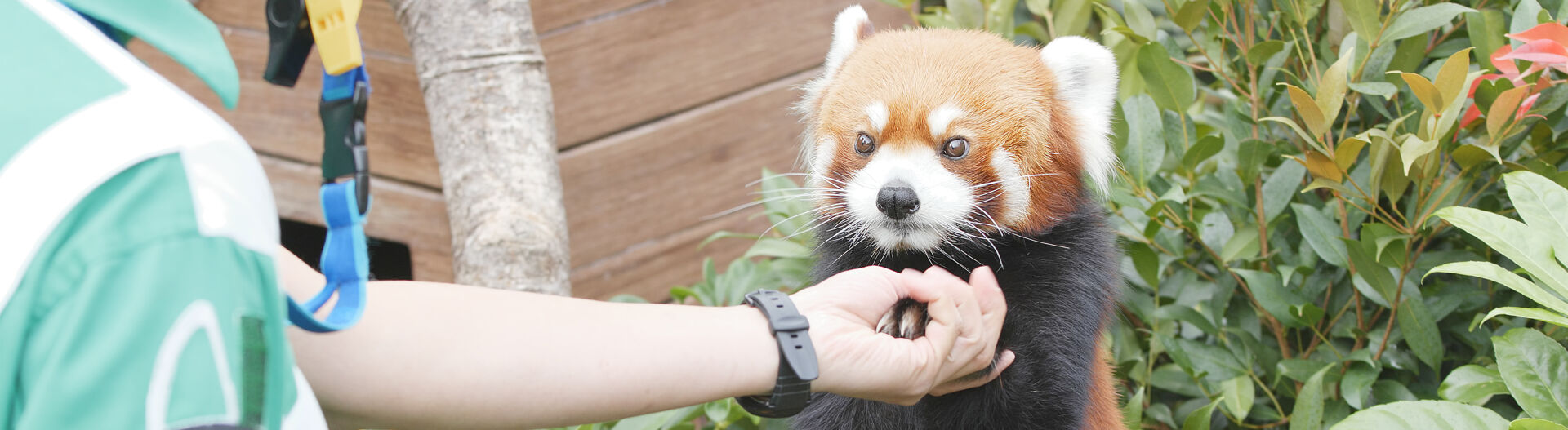 Phase 2 : Approfondir vos connaissances