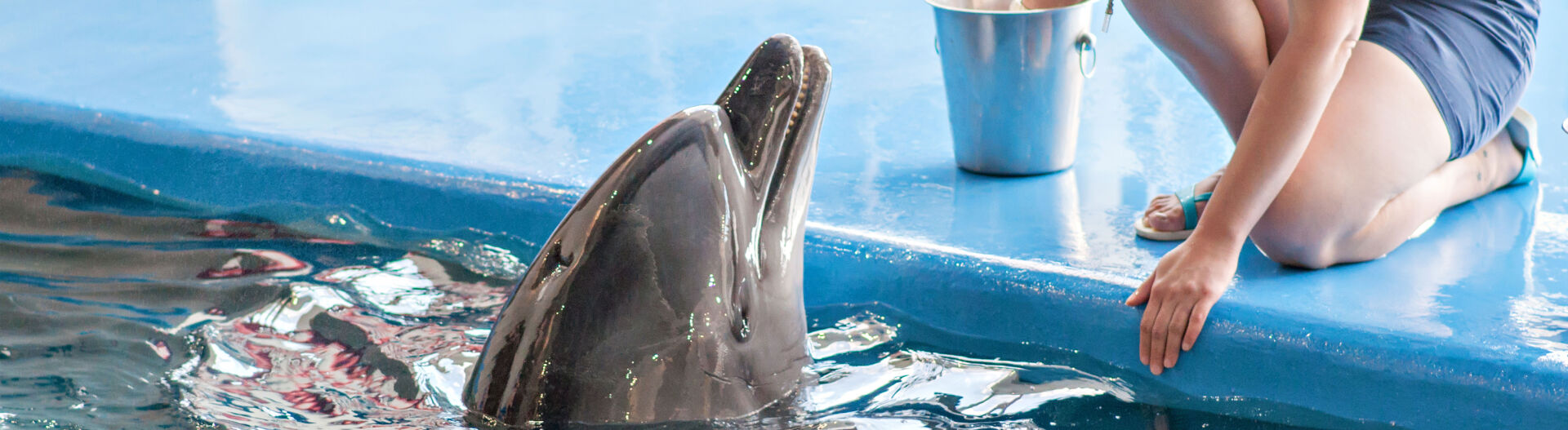 Phase 3 : Maîtriser les techniques de soin