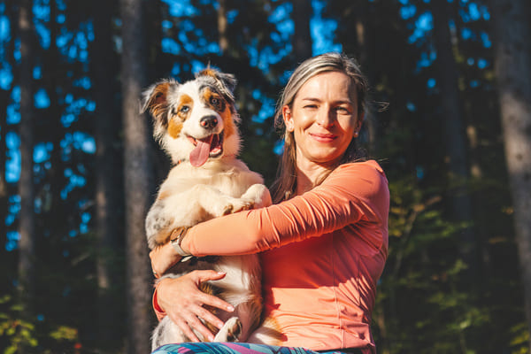 Le Berger australien est l'un des chiens les plus vendus en France 