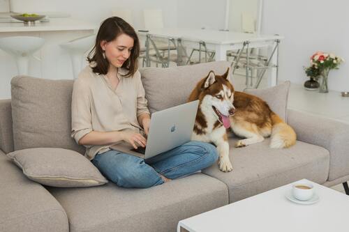 formation éducateur canin a distance